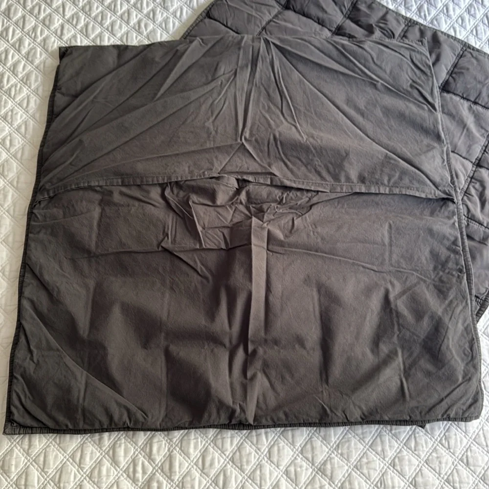 West Elm Pillow Euro Shams